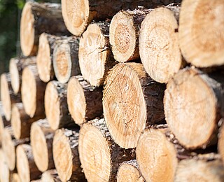 Holz als Baustoff